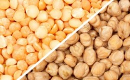 Quelle est la différence entre les pois chiches et les pois? - traitons ces haricots