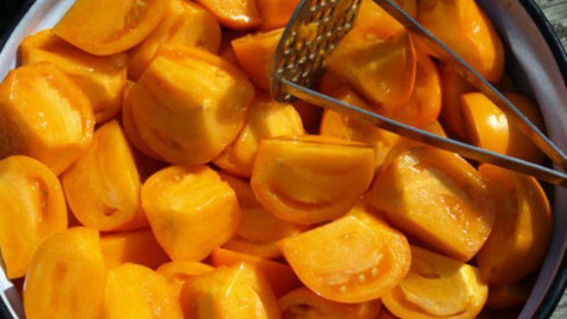 Comment faire pousser une tomate Persimmon sur votre site - trucs et astuces de jardiniers expérimentés