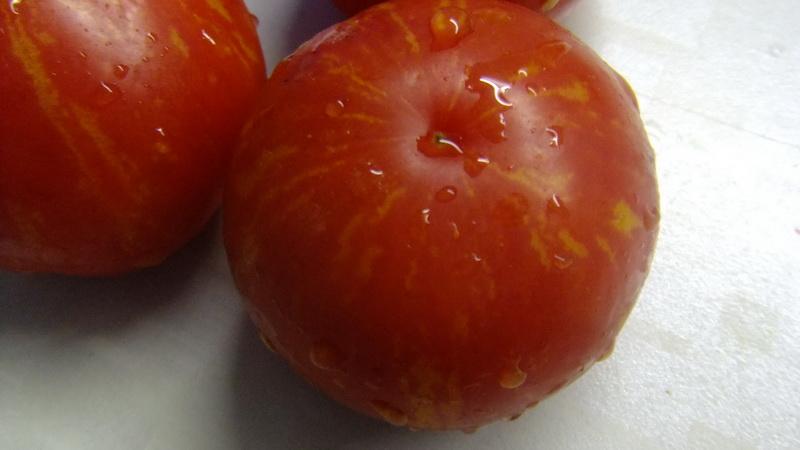 Quelles variétés de tomates à faible croissance sont les plus productives