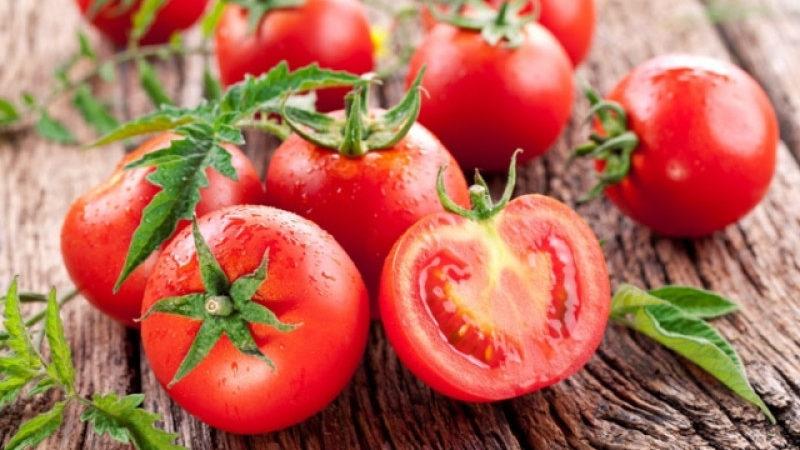 Résistant aux maladies et facile d'entretien Gina's Tomato - Un guide pratique pour la culture