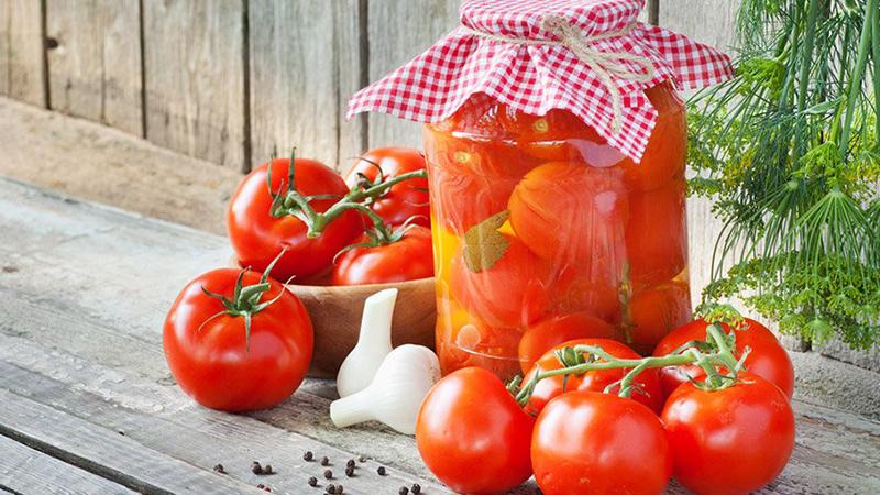 Résistant aux maladies et facile d'entretien Gina's Tomato - Un guide pratique pour la culture