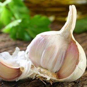 Top 30 des meilleures variétés d'ail, leurs photos avec des descriptions et aide à choisir la bonne variété