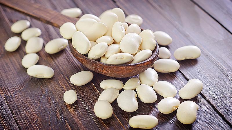 Caractéristiques de la culture des haricots blancs