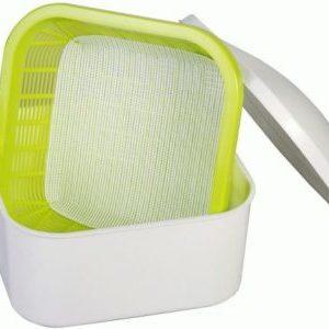 Une vraie trouvaille pour perdre du poids et les crudivores: comment faire germer le haricot mungo à la maison et comment le manger correctement