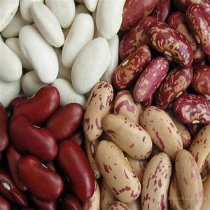 Comment faire pousser des haricots à la maison: un guide étape par étape