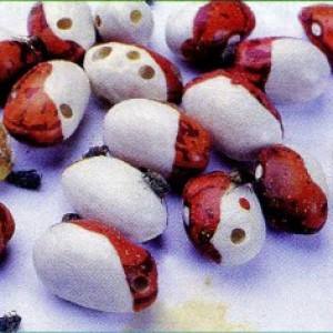 Comment faire pousser des haricots à la maison: un guide étape par étape