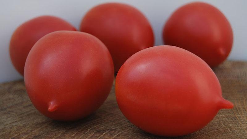 Toute une palette au jardin en une seule variété - La tomate De Barao et les secrets de sa culture