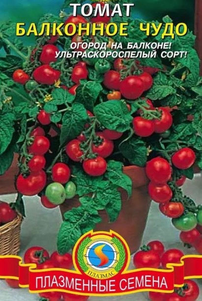 Top 25 des variétés de tomates les plus sucrées et conseils pour les choisir pour chaque jardinier