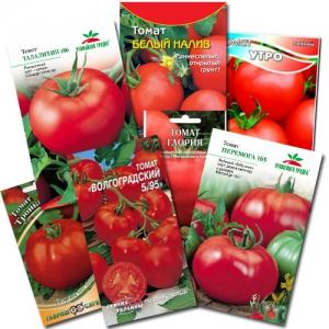Comment pulvériser des tomates pour l'ovaire