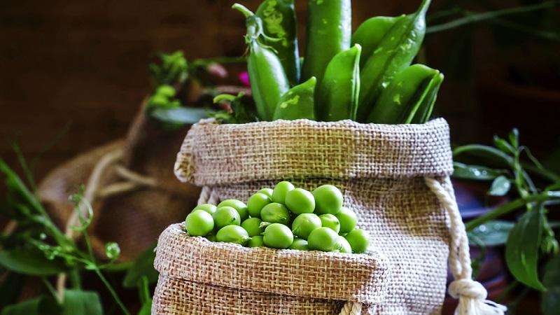 Quels sont les pois utiles et nocifs pour les humains