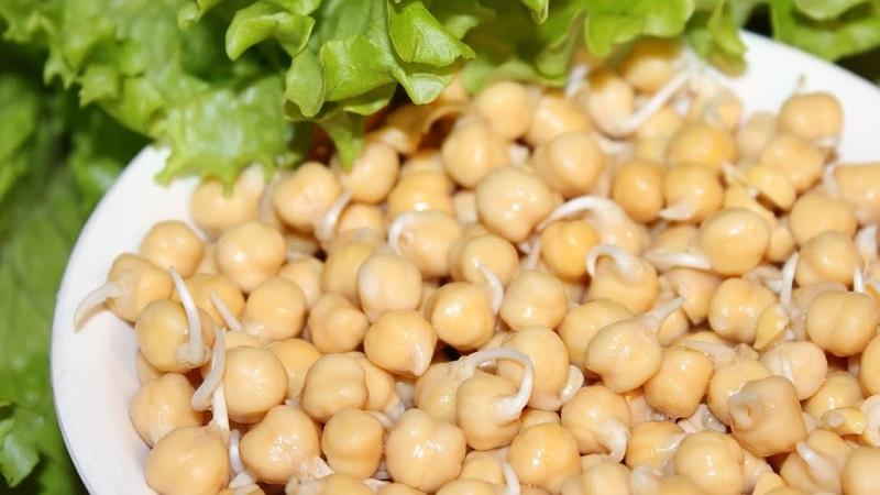 Pourquoi les pois chiches sont-ils si bons: avantages et inconvénients pour le corps, méthodes d'application et meilleures recettes