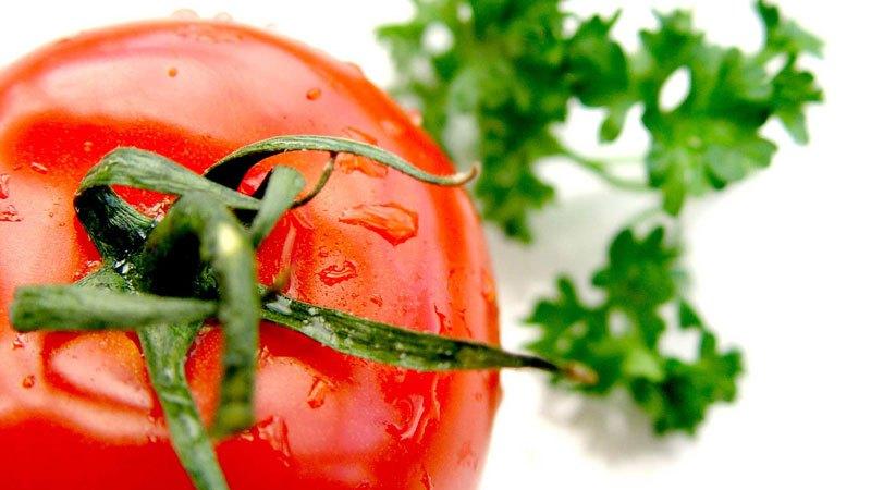 Que faire si des chenilles sont élevées dans des tomates - moyens populaires de lutter contre un ravageur