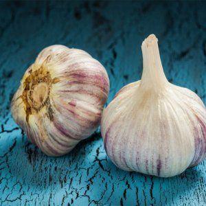 Nous étudions le problème en profondeur: l'ail jaunit au printemps - que faire et comment l'éviter