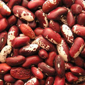 Comment les haricots agissent sur le corps: avantages et inconvénients, secrets de conservation des vitamines et règles d'utilisation