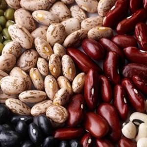 Comment les haricots agissent sur le corps: avantages et inconvénients, secrets de conservation des vitamines et règles d'utilisation