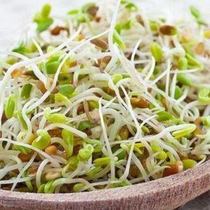 Un guide pratique sur la façon de faire germer des pois de résidents d'été expérimentés