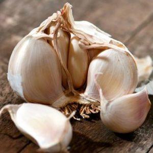 Comment reconnaître l'ail de printemps et d'hiver: différences dans les variétés d'aspect, de goût et d'autres caractéristiques