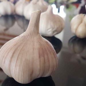 Comment reconnaître l'ail de printemps et d'hiver: différences dans les variétés d'aspect, de goût et d'autres caractéristiques