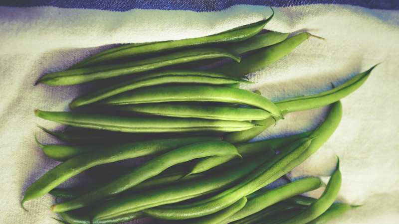 Quel genre de haricots d'asperge cultiver: des variétés qui ne laisseront personne indifférent