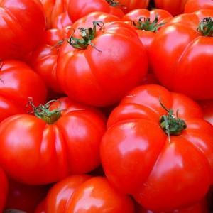 Beaucoup se demandent si une tomate est une baie ou un légume: découvrons-le ensemble et considérons différents points de vue