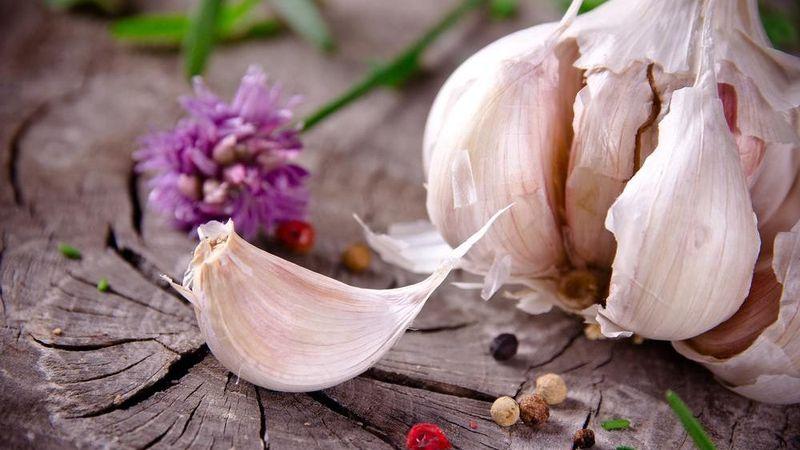 Vous ne savez pas comment planter de l'ail - peu importe: nous allons enseigner, montrer et dire tous les secrets et subtilités