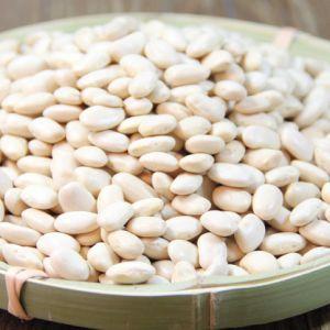 Caractéristiques de la culture des haricots blancs