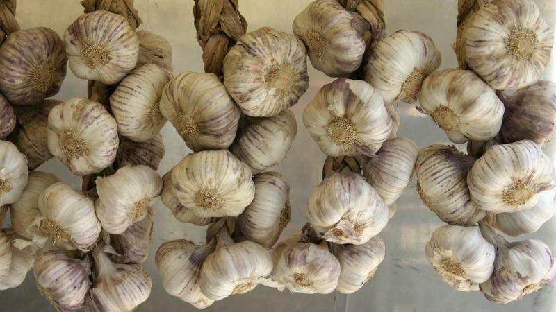 Une sélection des meilleures méthodes pour conserver l'ail à la maison pendant tout l'hiver