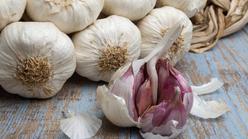 Une sélection des meilleures méthodes pour conserver l'ail à la maison pendant tout l'hiver