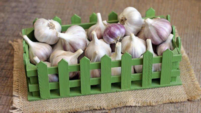 Une sélection des meilleures méthodes pour conserver l'ail à la maison pendant tout l'hiver