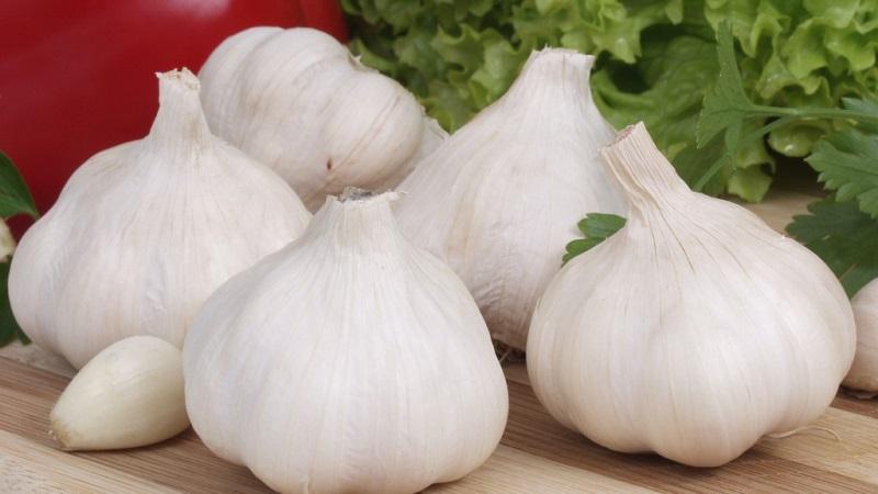 Découvrons-le ensemble dans une question commune: l'ail est-il un légume ou non?