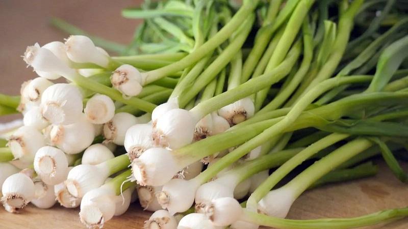 Découvrons-le ensemble dans une question commune: l'ail est-il un légume ou non?