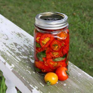 Top 16 délicieuses préparations de tomates: tomates en gélatine pour l'hiver - recettes et instructions de cuisson