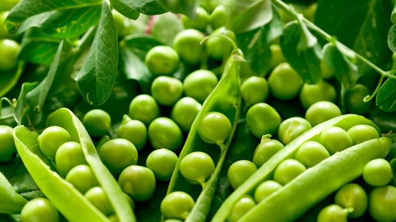 Top 8 des recettes les plus délicieuses pour mariner les pois à la maison: ingrédients, instructions étape par étape et conseils