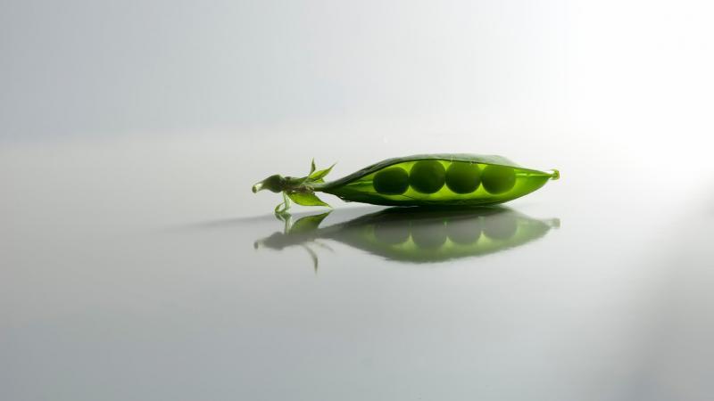 Top 8 des recettes les plus délicieuses pour mariner les pois à la maison: ingrédients, instructions étape par étape et conseils