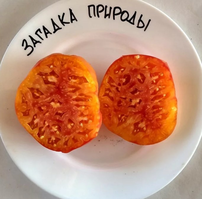 Top 25 des variétés de tomates les plus sucrées et conseils pour les choisir pour chaque jardinier