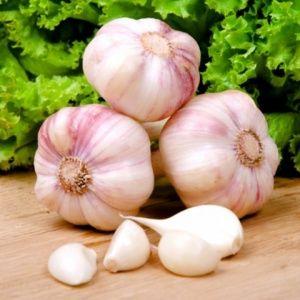 Les meilleures variétés d'ail de printemps: choisissez le type approprié en fonction des paramètres