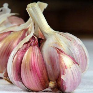 Les meilleures variétés d'ail de printemps: choisissez le type approprié en fonction des paramètres