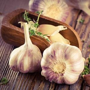 Ail Lyubasha stable, productif, sans prétention et résistant aux maladies - nous cultivons sur notre site