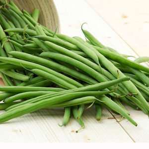Comment faire pousser de délicieux haricots verts dans le pays