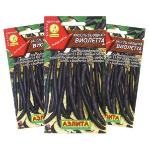 Comment faire pousser de délicieux haricots verts dans le pays