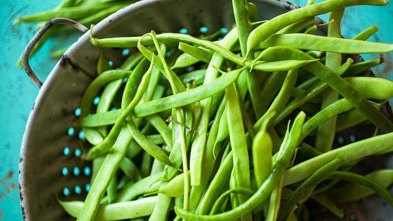 Pourquoi cela vaut-il la peine de cultiver des haricots Red Riding Hood sur votre site - description de la variété et de ses avantages