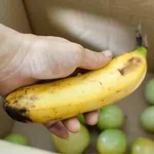 Comment faire rougir les tomates plus vite