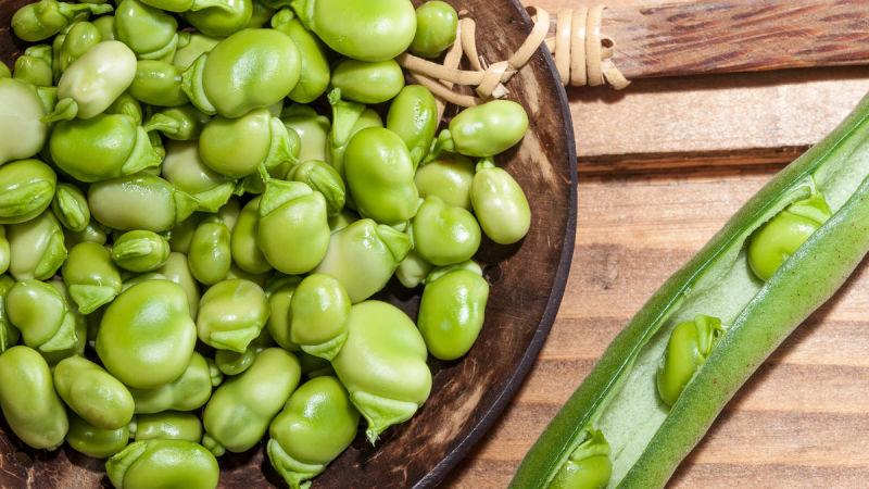 Top 26 des meilleures variétés de haricots avec photos et descriptions: quelles sont les variétés et comment choisir la bonne