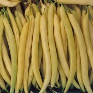 Top 26 des meilleures variétés de haricots avec photos et descriptions: quelles sont les variétés et comment choisir la bonne