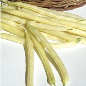 Top 26 des meilleures variétés de haricots avec photos et descriptions: quelles sont les variétés et comment choisir la bonne