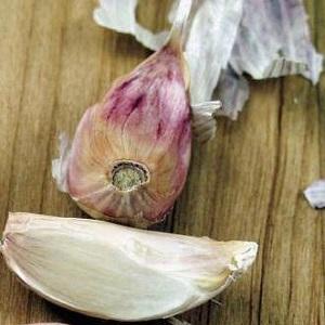 Nous traitons nous-mêmes les maladies de l'ail et nous débarrassons des parasites: méthodes efficaces et mesures préventives