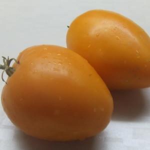 Comment obtenir des tomates de qualité Olesya