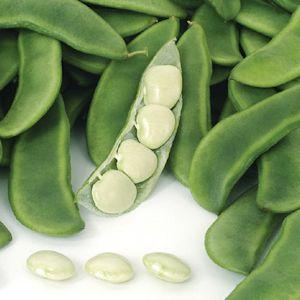 Top 26 des meilleures variétés de haricots avec photos et descriptions: quelles sont les variétés et comment choisir la bonne