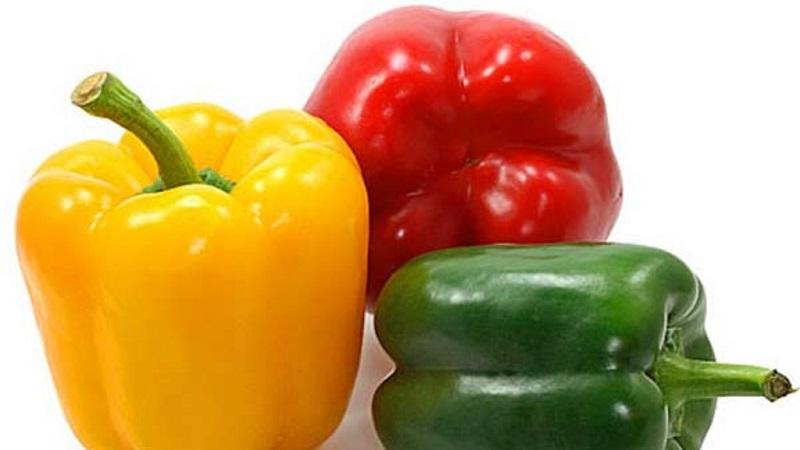 Règles de rotation des cultures à ne pas ignorer: que planter après le poivron l'année prochaine