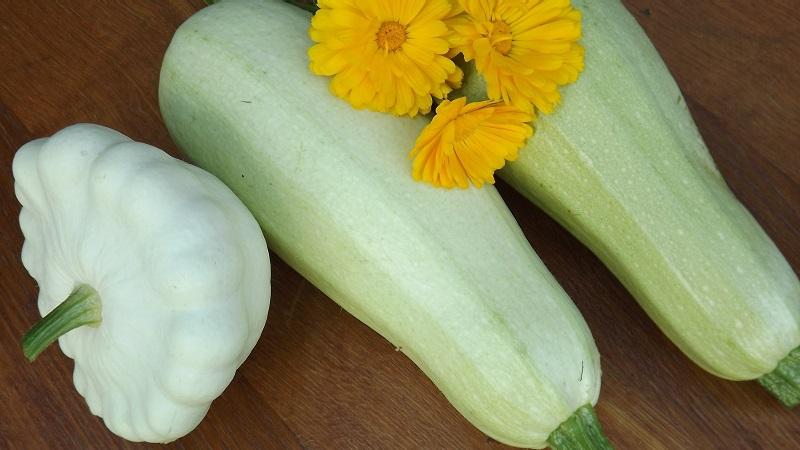Quelle est la différence entre les courgettes et les courges: la différence d'aspect, de goût et d'autres paramètres